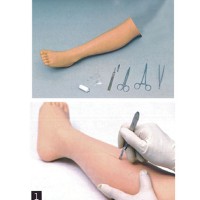 高级外科缝合腿模型